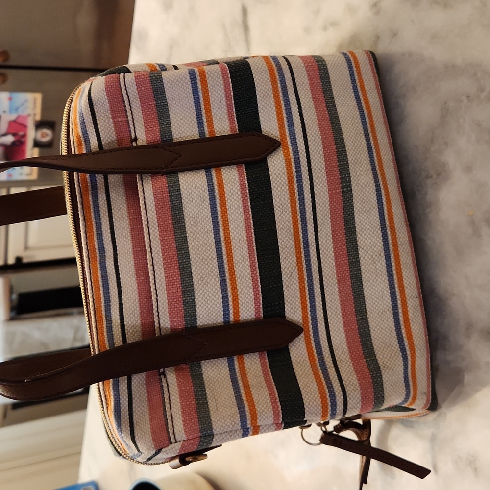 "Rachel"Striped Fossil Handbag
